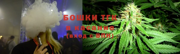 PSILOCYBIN Баксан